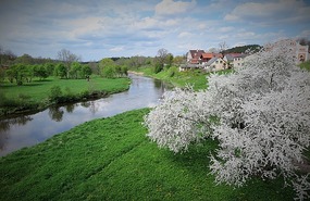 By the Abava River