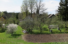 Farm in Kureme area