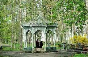 Sulphur spring