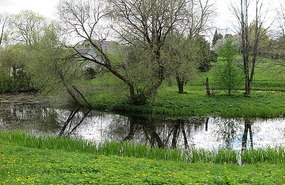 By the stream