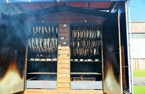 Fish smoker