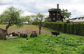 Siluva mill