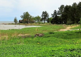 Altja water view
