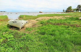 By the water