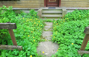 Lauren you would like this frontyard