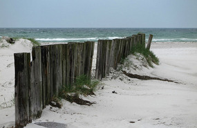 Beach at Skanor