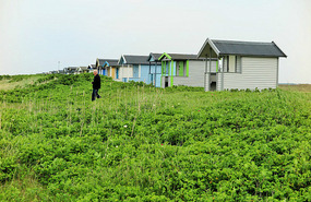 Beach huts, Skanor