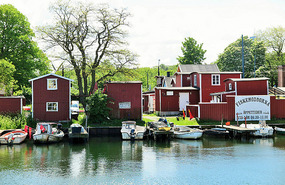 Fish shops