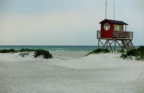 Surf lifesaving, Skanor