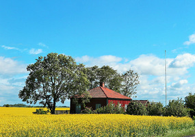 Falu red painted house