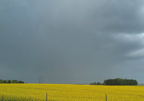 Storm clouds