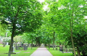 Grounds of church