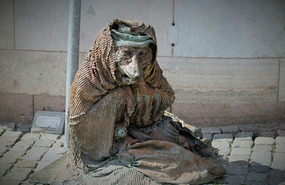 Homeless wolf