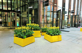 Yellow brightens the day