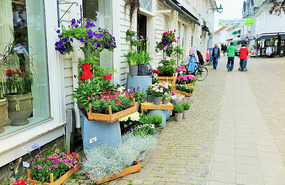 In old town