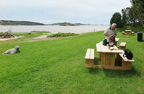 Perfect spot for lunch