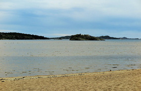 Yellow sand