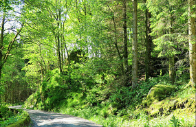 We ended up on a narrow little road