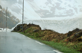 Deep by the road