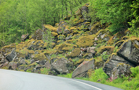 Mossy banks
