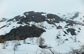 Snow scene