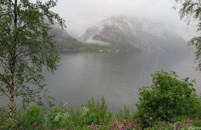 The fjord by Langfossen