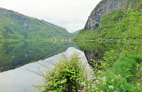 Post card view