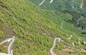 Road up to the top