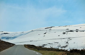 Whiteness