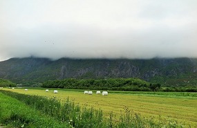 Hay time
