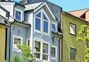 Wooden houses
