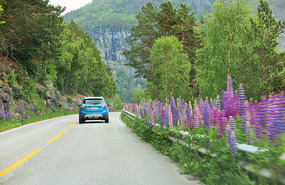 On the Ornevegen