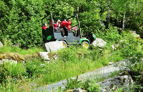 A trollcar can be hired to reach near the top