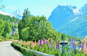 Fjord side