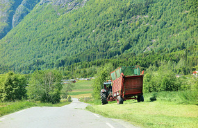Making hay while the sun shines