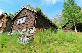 More huts