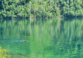 Swimming in water off the glacier - aaahhh
