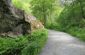 Very narrow road