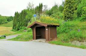 Bus stop with green roof