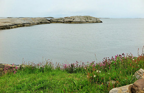 By the sea