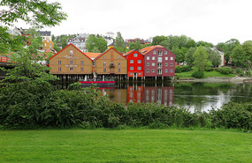 From the park