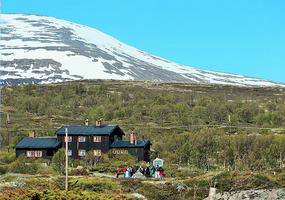 Colour of houses here