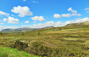 Getting greener again as we go downhill