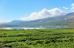 On the way to Rondane NP