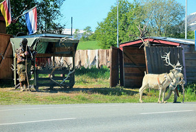 Selling deer skins