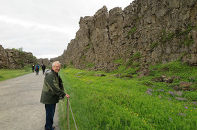 Bob at Pingvellir