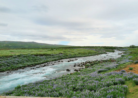Stream by the road