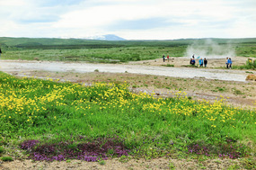 The thermal area is quite large