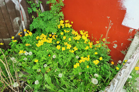 Lovely little corner