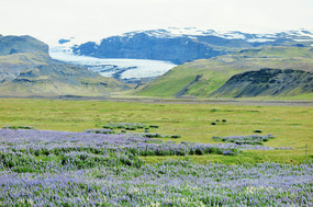 Solheimajokull Glacier in the distance